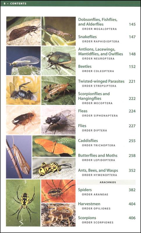 National Wildlife Federation Field Guide: Insects and Spiders of North ...