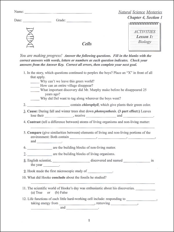 natural science mysteries chapter 4 activities paradigm accelerated