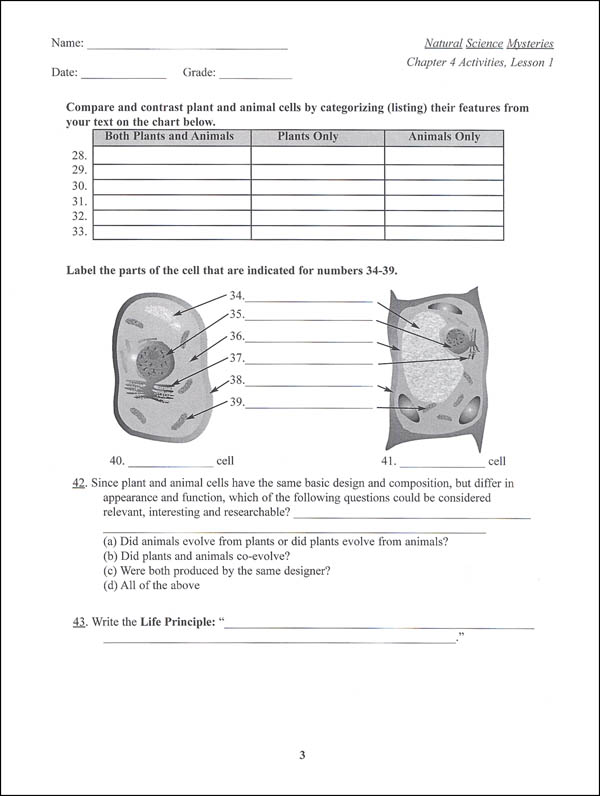 natural science mysteries chapter 4 activities paradigm accelerated