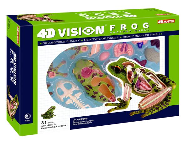 4D Frog Anatomy Model