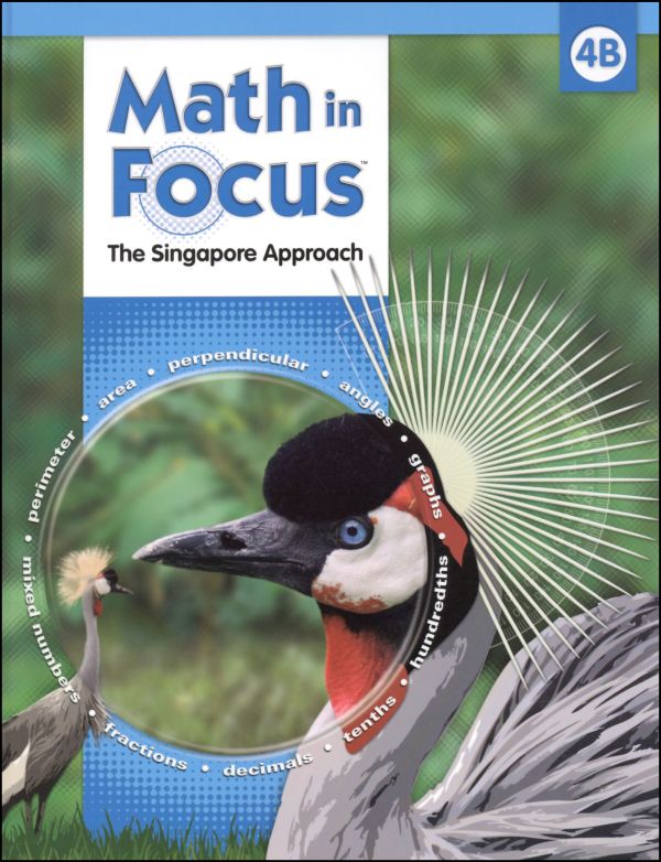 Math in Focus Grade 4 Student Book B