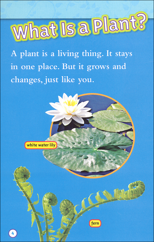 Seed to Plant (National Geographic Reader Level 1) National