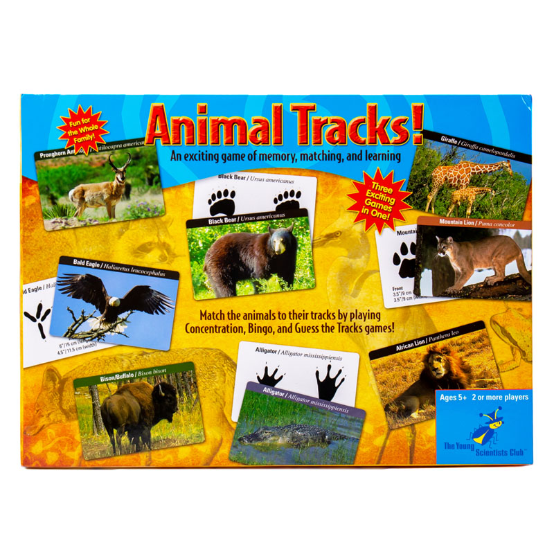 Animal Tracks! | Young Scientists Club |