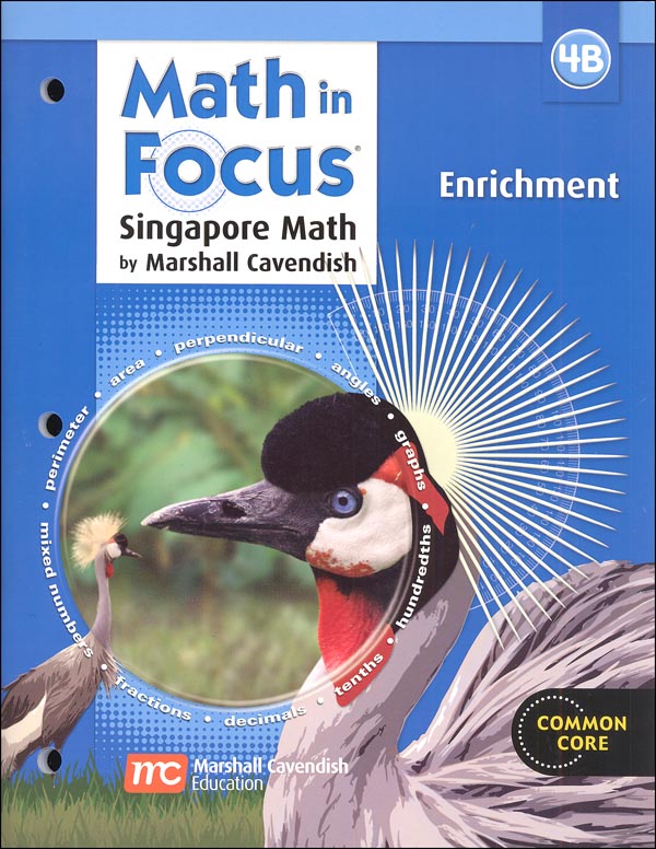 Math in Focus Grade 4 Enrichment B