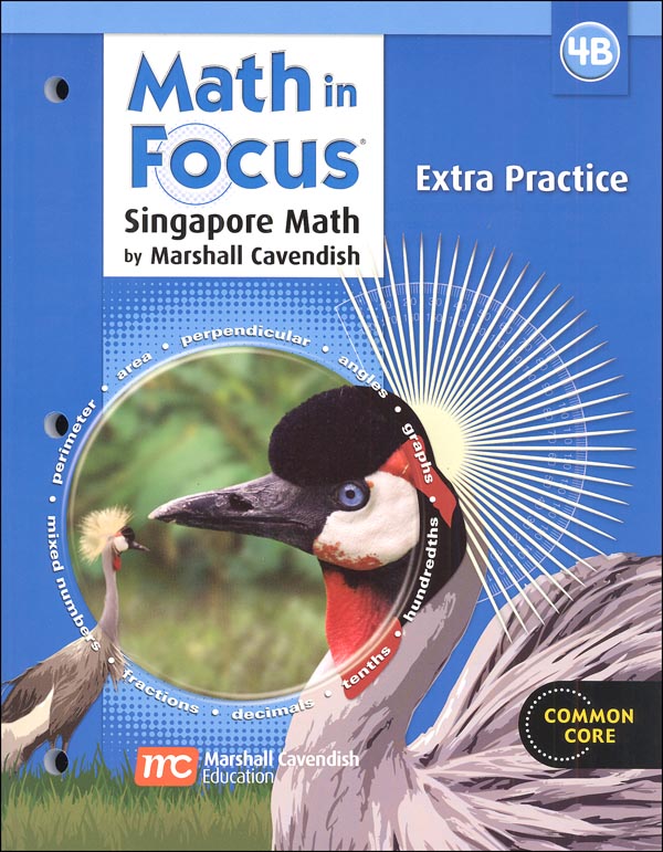 Math in Focus Grade 4 Extra Practice B