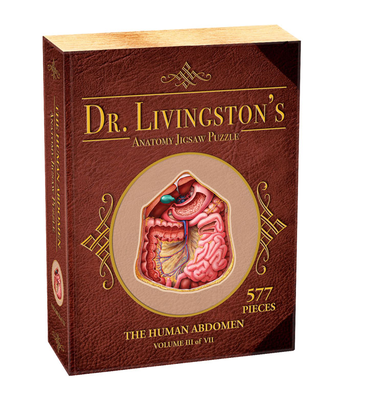 Dr. Livingston's Anatomy Jigsaw Puzzle: Human Abdomen