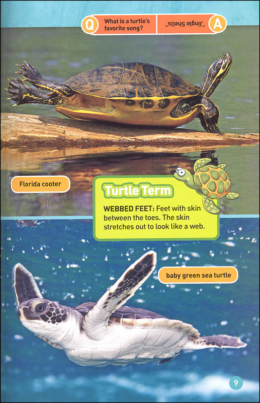 Turtles (National Geographic Reader Level 1) | National Geographic Kids ...