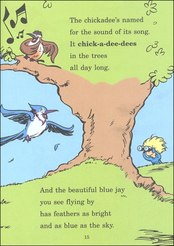 Parrot essay in english 150 words picture