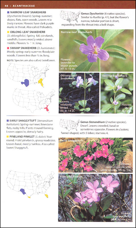 National Wild Federation Field Guide to Wildflowers of North America ...