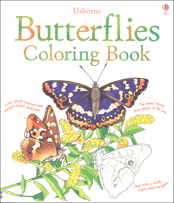 Butterflies Coloring Book | EDC / Usborne | 9780794531133