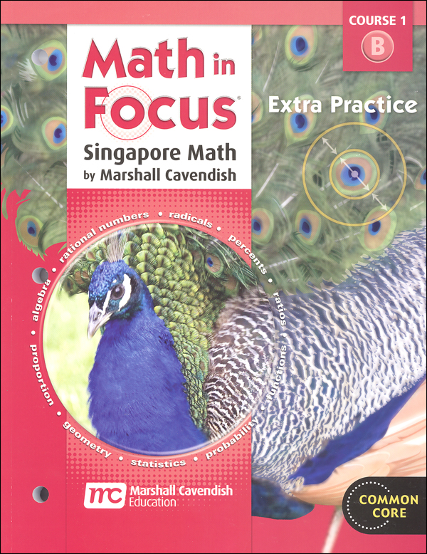 Math in Focus Course 1 Grade 6 Extra Practice B