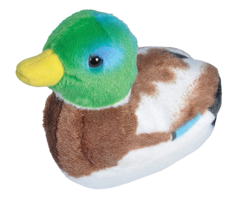 Audubon Bird: Mallard Duck with Bird Call