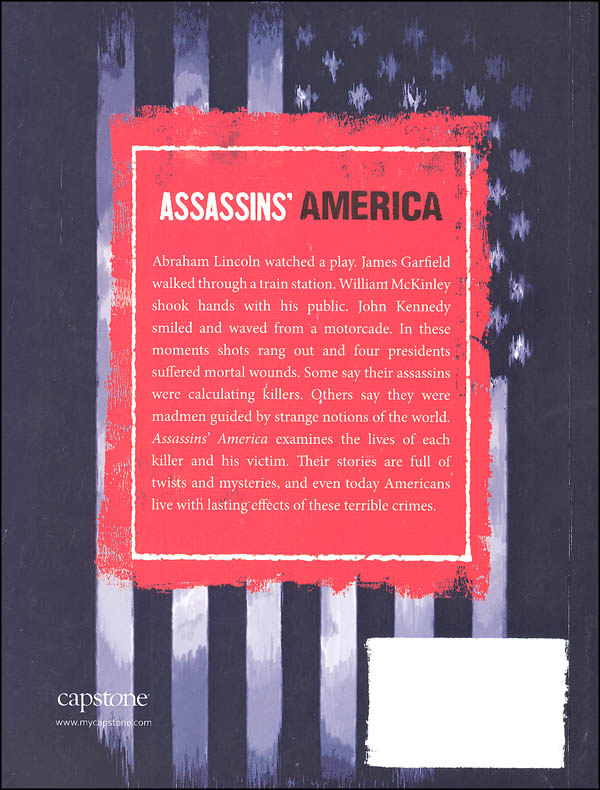 american assassin book