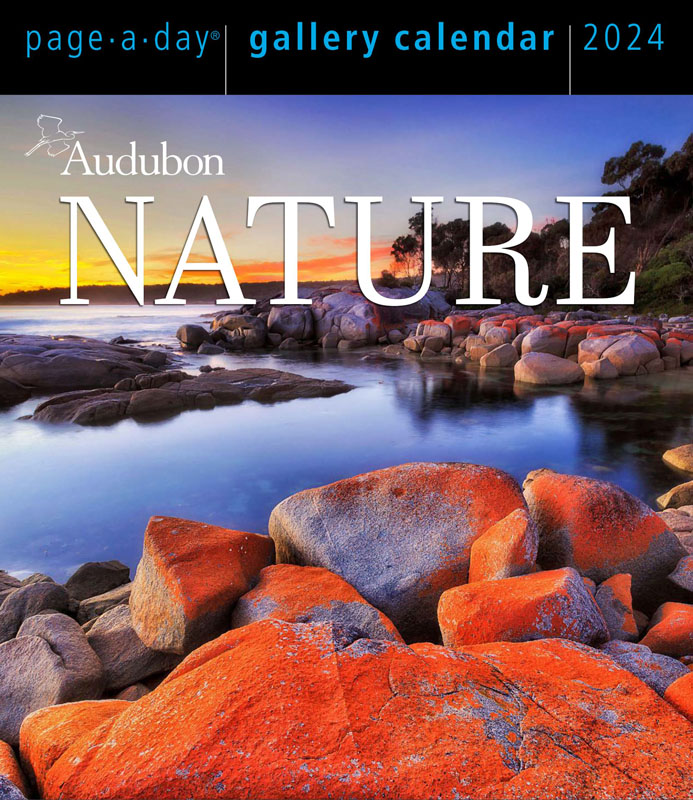 Audubon Nature PageaDay 2024 Gallery Calendar Workman Publishing