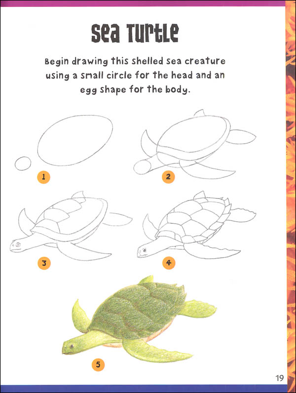 Pictures Of Sea Animals To Draw - Draw Five How To Draw Ocean Animals