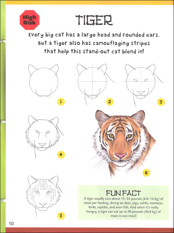 How to Draw Zoo Animals: Step-by-Step Instructions for 20 ...