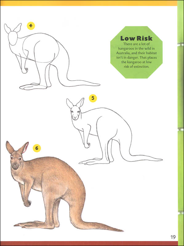 How to Draw Zoo Animals StepbyStep Instructions for 20 Wild