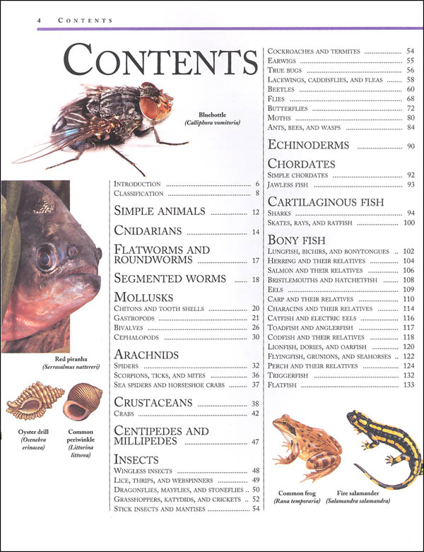 Kingfisher Animal Encyclopedia (4th Edition) Kingfisher 9780753474594