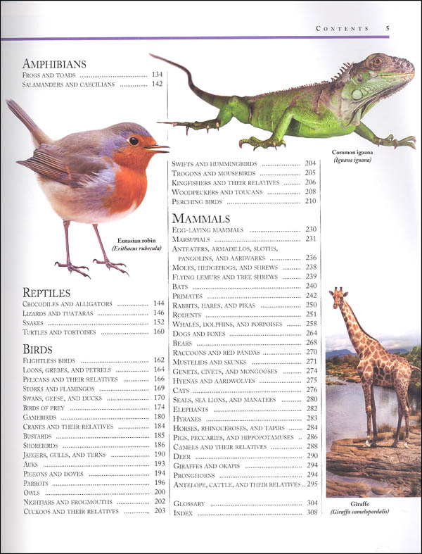 kingfisher dinosaur encyclopedia