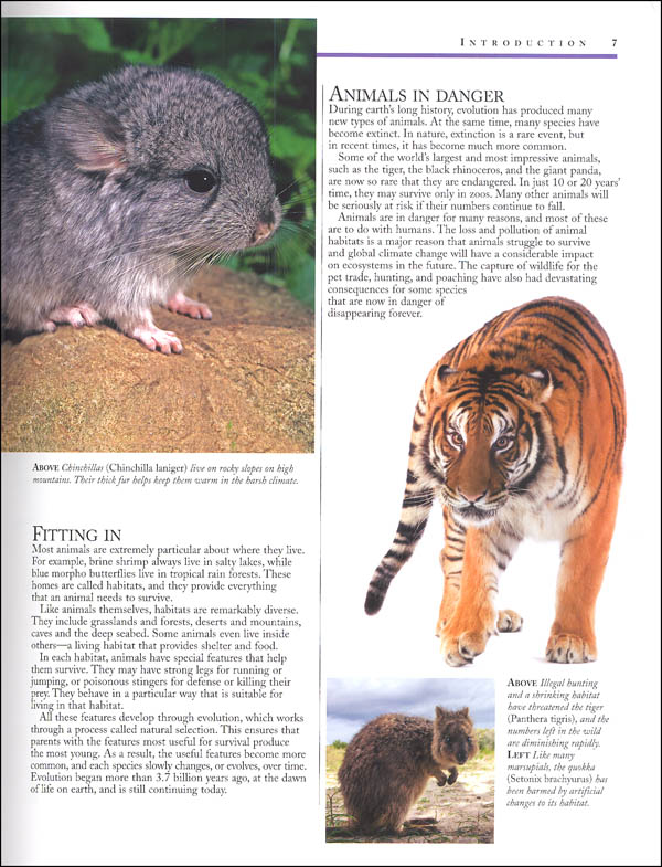 Kingfisher Animal Encyclopedia (4th Edition) Kingfisher 9780753474594