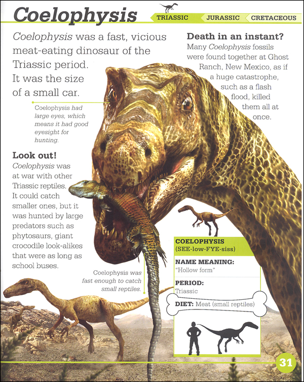 Scholastic Discover More: Dinosaurs 