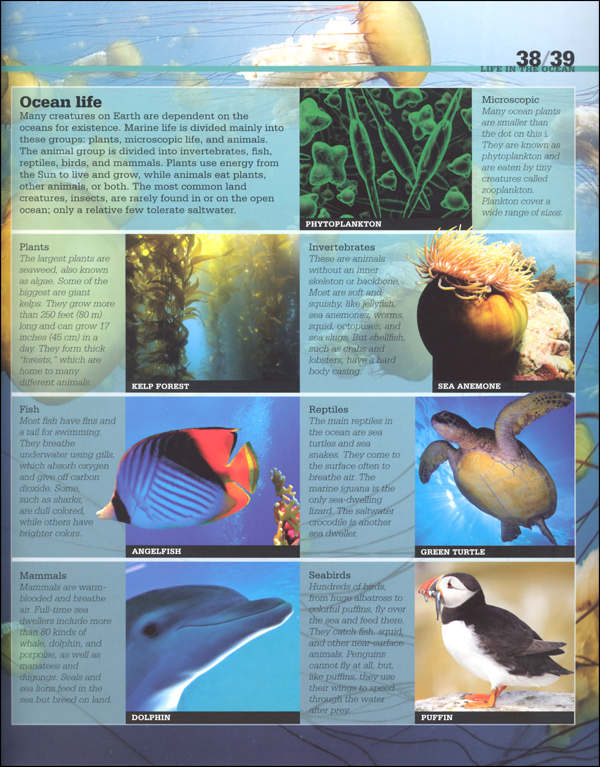 Scholastic Discover More: Ocean and Sea | Scholastic Reference ...