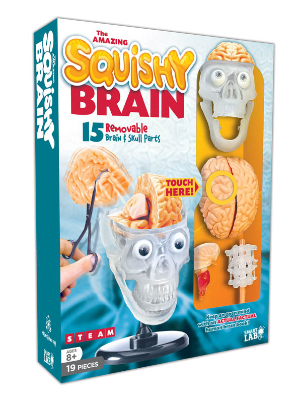 brain squishy ball