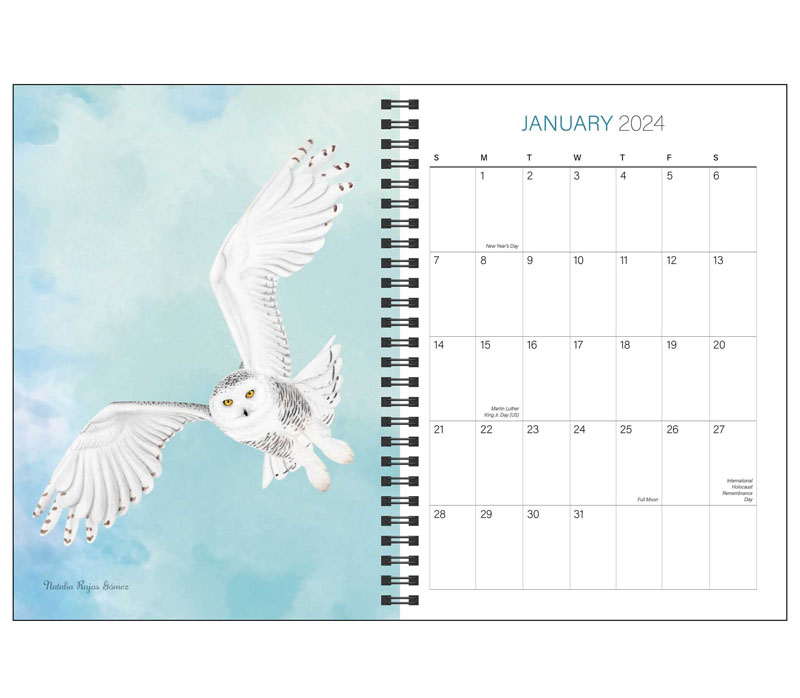 Birds of the World: Birds of Wingspan 2024 Engagement Calendar ...