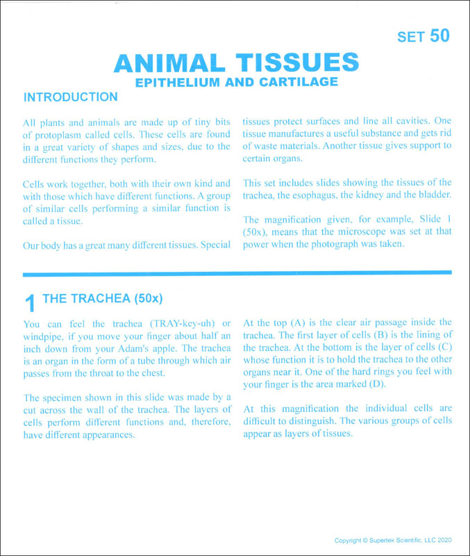 Microslide, Animal Tissues - A Set | Supertek Scientific |