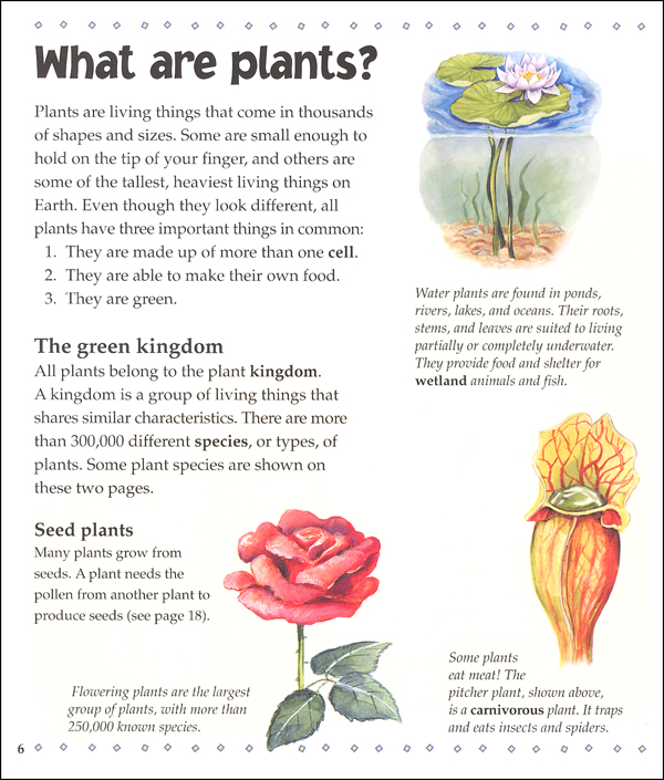 what-is-a-plant-crabtree-publishing-company-9780865059597