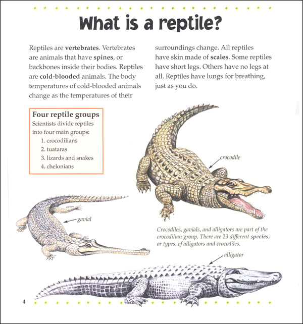 What is a Reptile? | Crabtree Publishing Company | 9780865058934