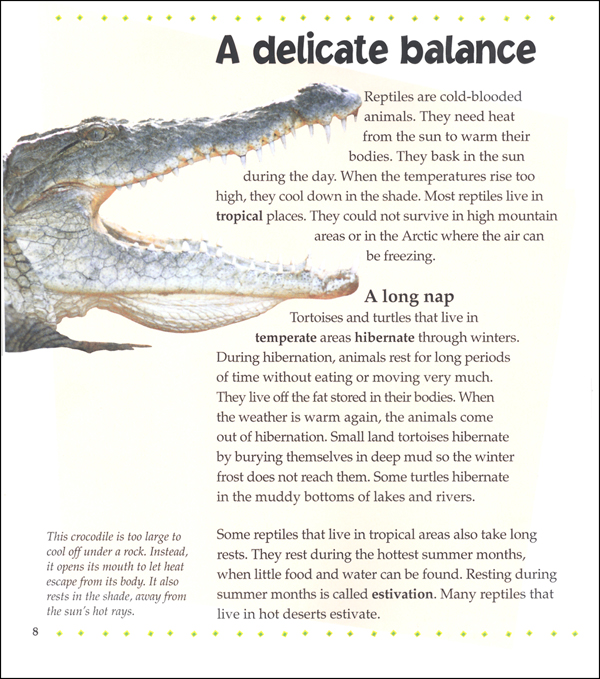 What is a Reptile? | Crabtree Publishing Company | 9780865058934