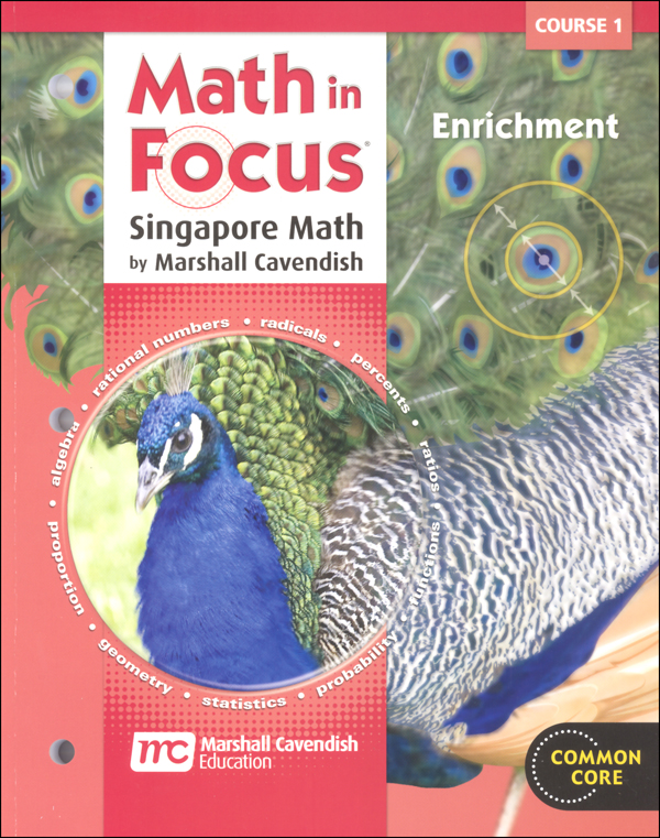 Math in Focus Course 1 Enrichment (Gr 6)