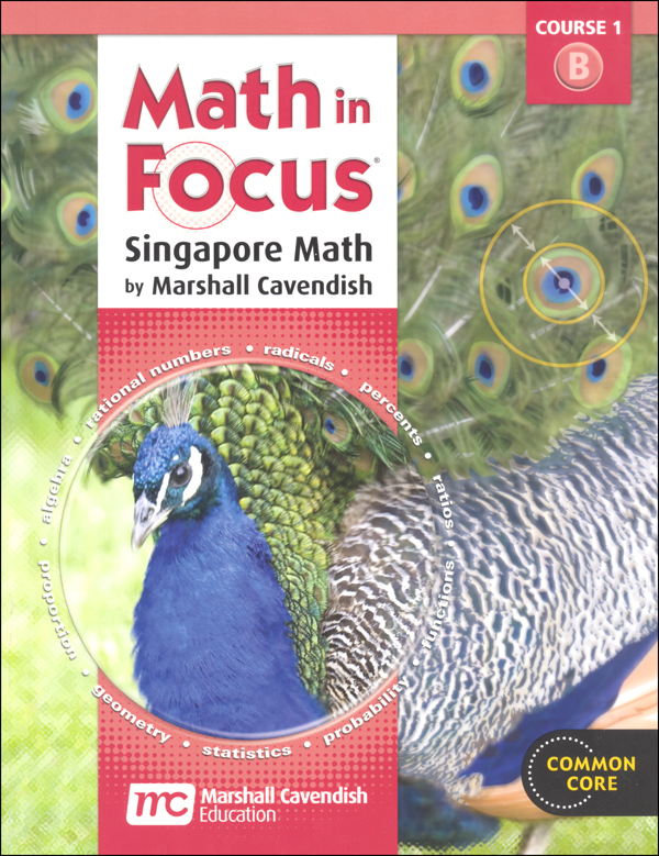 Math in Focus Course 1 Student Book B (Gr 6)