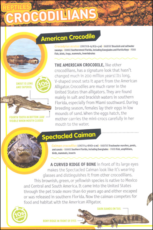 Ultimate Explorer Field Guide - Reptiles and Amphibians | National