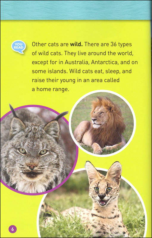 Cats (National Geographic Reader Level 1 CoReader) National