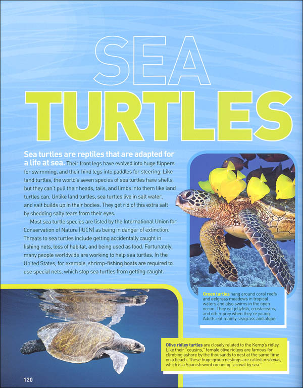 ultimate-ocean-pedia-national-geographic-kids-national-geographic