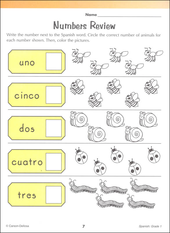 Spanish Grade 1 Workbook Brighter Child Brighter Child 9781483816555
