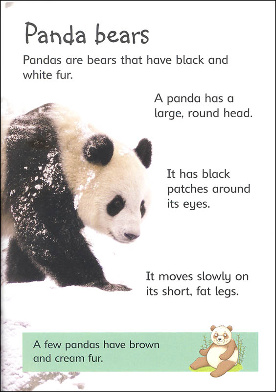 Pandas (Usborne Beginners) | EDC / Usborne | 9780794534097