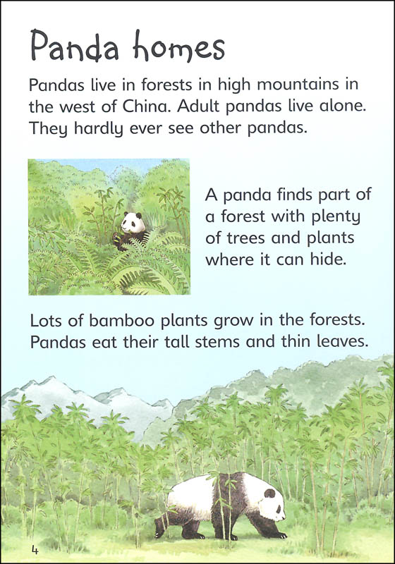 Pandas (Usborne Beginners) | EDC / Usborne | 9780794534097