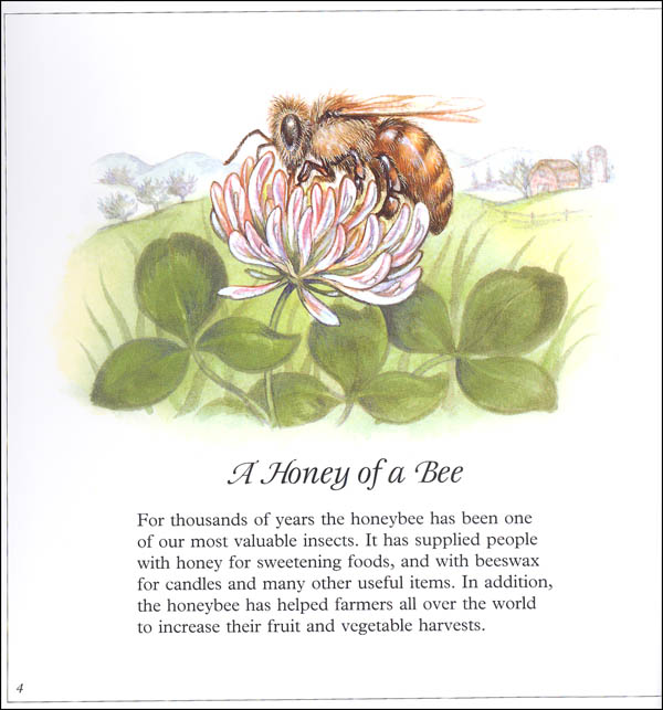 Life and Times of the Honey Bee | Houghton Mifflin | 9780395861394