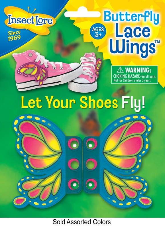 Butterfly Shoe Lace Wings Insect Lore