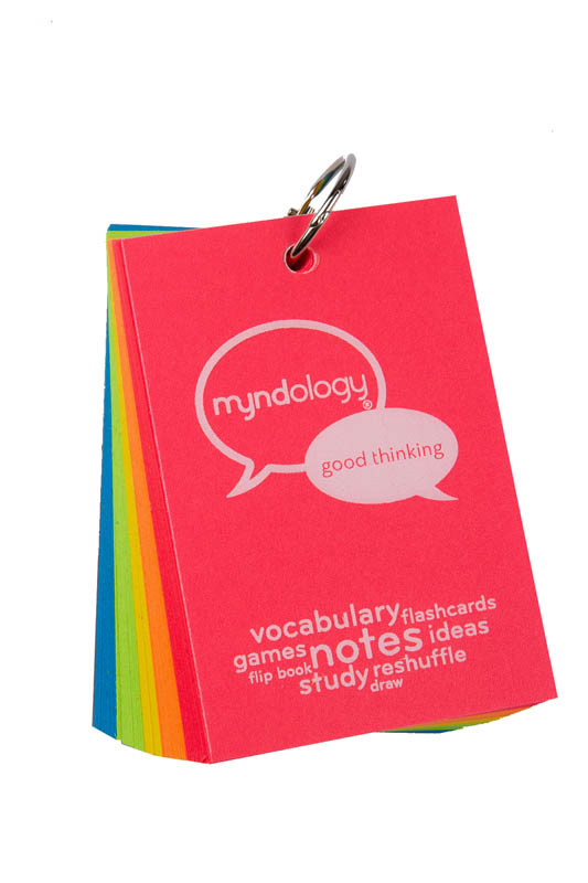 Study Cards Ringed - Large (Bright Colors)
