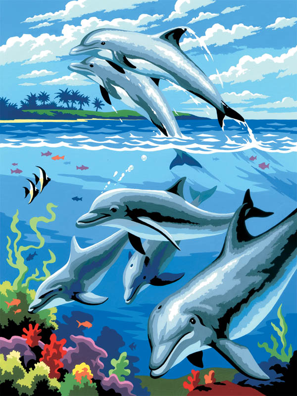 Dolphin Paint by Number