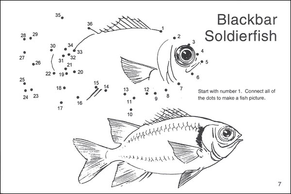 Dot-to-Dot Fish Activity Book | Spizzirri Publishing | 9780865452060