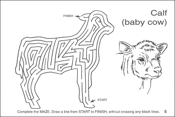 Farm Mazes Activity Book | Spizzirri Publishing | 9780865452053