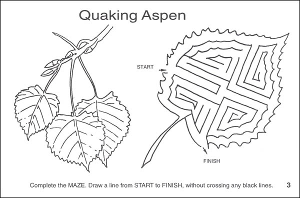 Tree Mazes Activity Book | Spizzirri Publishing | 9780865451438