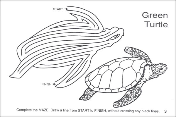 Turtle Mazes Activity Book | Spizzirri Publishing | 9780865450592