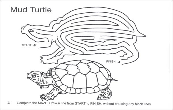 Turtle Mazes Activity Book | Spizzirri Publishing | 9780865450592