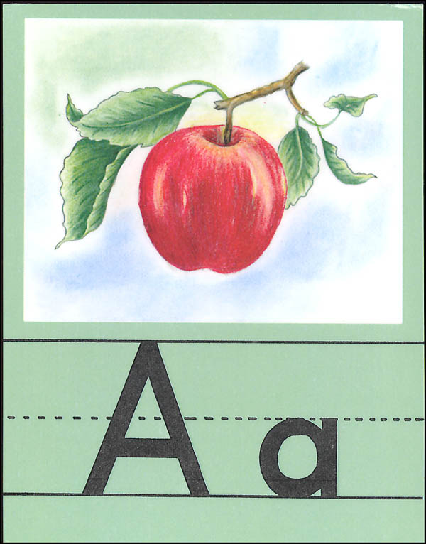 Small Alphabet Set (Illustrated Alphabet Cards)